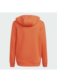 Felpa con cappuccio arancione solida, caratterizzata da una texture morbida, polsini a coste e una vestibilità comoda. La vista posteriore mostra il cappuccio e una finitura del tessuto liscia.