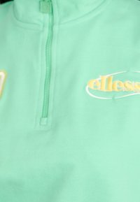 Pullover in pile verde chiaro con zip a un quarto. Presenta un logo ricamato giallo e un tessuto testurizzato. Design casual.