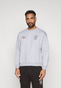 Világosszürke kapucnis pulóver pamut keverékből, bordás mandzsettákkal és aljjal. Elöl piros "Ser" felirat és logó található. Lazán illeszkedő fazon.