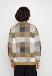 Osoba z kręconymi włosami widziana z tyłu, ubrana w sweter z długim rękawem, wykonany z dzianiny w wzór w kratkę w odcieniach beżu, brązu, bieli i musztardy.