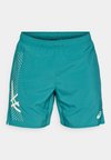 ICON SHORT - Kurze Sporthose - rainy lake