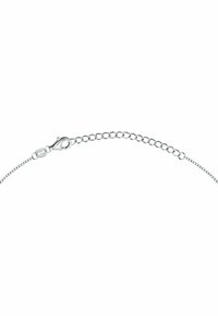FAVS Collana - zilveren kleur