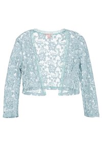 Lichtblauwe kanten cropped cardigan met lange mouwen, bloemenpatroon en gegolfde randen. Open voorkant ontwerp, gestructureerde stof.