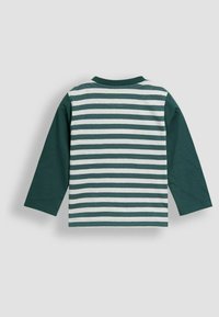 Langarmshirt mit dunkelgrünen Ärmeln und einem weißen und grünen horizontalen Streifenmuster auf dem Körper. Aus Baumwolle gefertigt mit Rundhalsausschnitt.