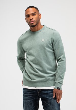 Lichtgroene katoenen trui met lange mouwen, geribbelde manchetten en zoom, en een klein logo-opnaaipatch op de borst. Gemed in combinatie met een wit shirt en jeans.