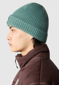 The North Face SALTY LINED BEANIE - Beanie - dark green