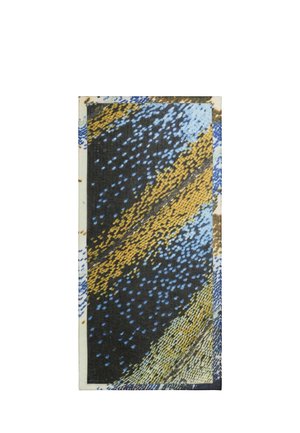 Nahaufnahme eines Schmetterlingsflügelmusters mit schwarzen, gelben, blauen und braunen Schuppen in dichten, überlappenden Reihen.