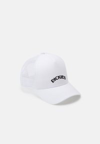 Dickies - SHAWSVILLE TRUCKER UNISEX - Gorra - cloud Imagen en miniatura 1