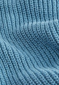 Next REGULAR FIT - Kardiganas - blue