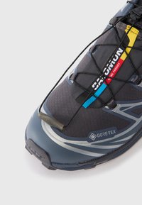 Artimiai šviesiai pilkos ir mėlynos spalvų Salomon Gore-Tex bėgimo batai su juoda greito užrišimo sistema ir spalvota logotipo etikete ant liežuvio.