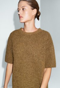 Maglione marrone lavorato a maglia con maniche corte, scollatura rotonda e una consistenza morbida e pelosa. Design semplice senza motivi o dettagli visibili.