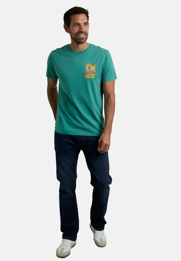 SHRIMPSONS BACK ARTIST - Print T-shirt - viridis