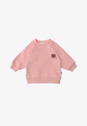 Rosa Sweatshirt aus weichem Stoff, mit rundem Ausschnitt und langen Raglanärmeln. Besonderes Detail: kleine braune Kürbisgrafik auf der Brust.