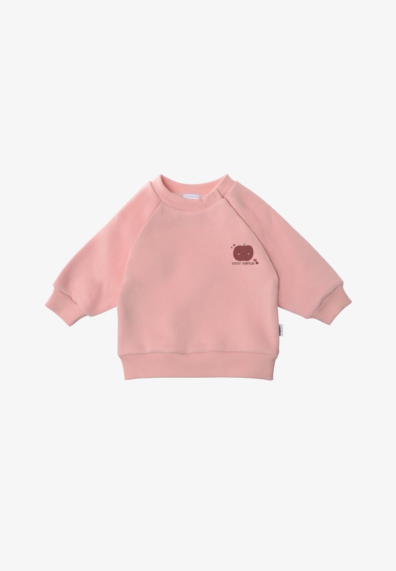 Pink sweatshirt made of soft fabric, featuring a rounded neckline and long raglan sleeves. Notable detail: small brown pumpkin graphic on chest.