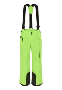 Chiemsee MIT PLUS-MINUS-PRINT - Skihose - green gecko