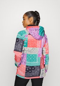 DC Shoes SALEM - Sweatshirt com capuz - multi-coloured