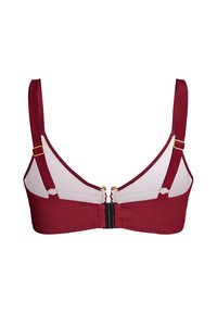 Vue arrière d'un soutien-gorge rouge avec des bretelles ajustables, des accessoires dorés, des panneaux latéraux transparents et une fermeture à agrafe noire au centre du dos.