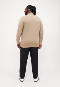 Jack & Jones JJPANNEL ROLL NECK - Πουλόβερ - crockery