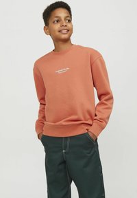 Jack & Jones Junior JORVESTERBRO CREW NECK NOOS - Ikdienas džemperis - ginger