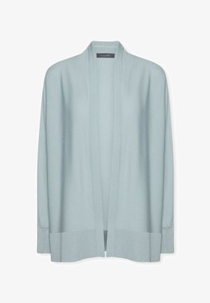 Cardigan azzurro chiaro aperto sul davanti con maniche lunghe e polsini e orlo a coste, realizzato in morbido tessuto a maglia.