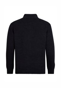 Schwarzer, langärmeliger Strickpullover mit hohem Rippenkragen, gerippten Manschetten und Saum, von hinten vor einem weißen Hintergrund gezeigt.