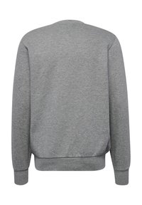 Grå sweatshirt med rund hals, långa ärmar, ribbade mudd och nederkant, i ett mjukt, texturerat tyg utan synliga logotyper eller mönster.