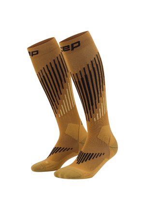 SKI COMPRESSION TOURING MERINO TALL - Knee high socks - brown anthracite