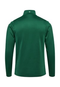 Grøn pullover med høj krave, lange ærmer og glat stof. Har et logo på ryggen og ingen synlige mønstre eller accenter.