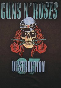Calavera con cabello rojo que lleva un sombrero militar, sosteniendo dos tallos de rosa cruzados en su boca, con el texto "Guns N' Roses" y "Destruction 07".