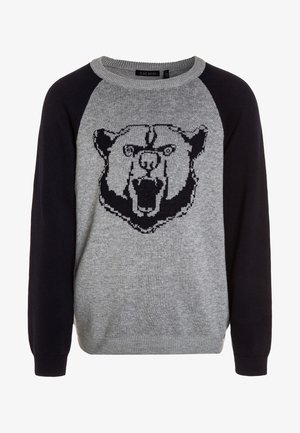 Sweatshirt gris avec des manches raglan bleu marine, affichant un graphisme d'ours noir à l'avant. Col et poignets côtelés, en matériau tricoté doux.