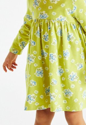 Grön klänning med långa ärmar, med ett blommönster av blå rosor och små vita blommor. Mjuk, strukturerad tyg; rynkad midja.