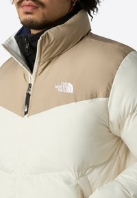 The North Face M SAIKURU JACKET - Vinterjacka - mushroom grey/white dun