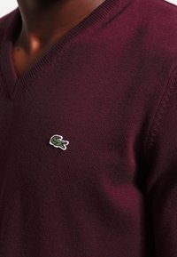 Homme portant un pull col en V rouge foncé avec un petit logo crocodile vert brodé sur le côté gauche de la poitrine.