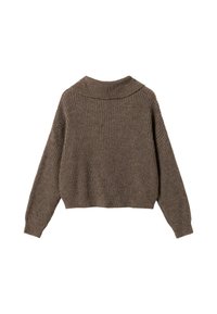 Brūns ribots adīts džemperis ar garām piedurknēm un plašu salocītu apkakli, attēlots no aizmugures uz baltas fona.