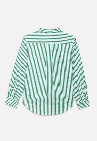 Camisola de manga comprida às riscas verdes e brancas, com gola alta, punhos com botões e prega central na parte de trás para maior detalhe.