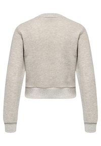 Ljust grått kort sweatshirt med långa ärmar, ribbade manschetter och textilstruktur. Har en rund halsringning och en rak fåll.