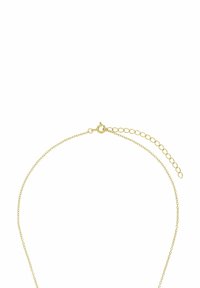 Collana in oro con un design delicato a maglia fine e chiusura a molla. Presenta una lunghezza regolabile con una piccola catena di estensione.