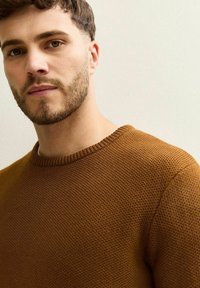Brown knit sweater with a textured weave, round neckline, and subtle ribbed trim. Worn by a person with light stubble and short hair.