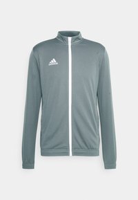 ENTRADA 22 TRACK - Trainingsvest - team grey