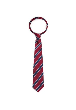 Red and navy blue striped necktie tied in a Windsor knot against a white background.