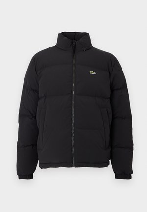 Black puffer jacket with a high collar, front zipper, and a small green logo. Features quilted sections and elasticized cuffs.