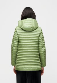 Άτομο με μαλλιά μέχρι τους ώμους, σκούρα, φορώντας μια ανοιχτοπράσινη προϊστορημένη μπουφάν με κουκούλα, εμφανίζεται από πίσω σε ένα απλό φόντο.