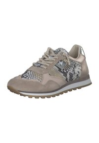 Cetti SNEAKER LOW - Trainers - dessert