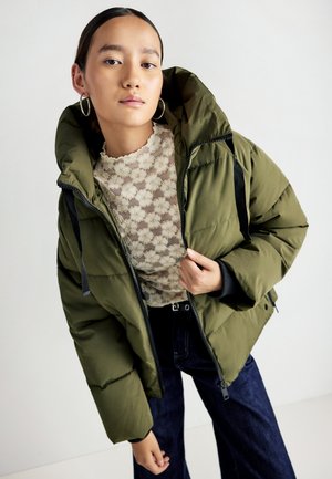 JACKET - Zimná bunda - forest night