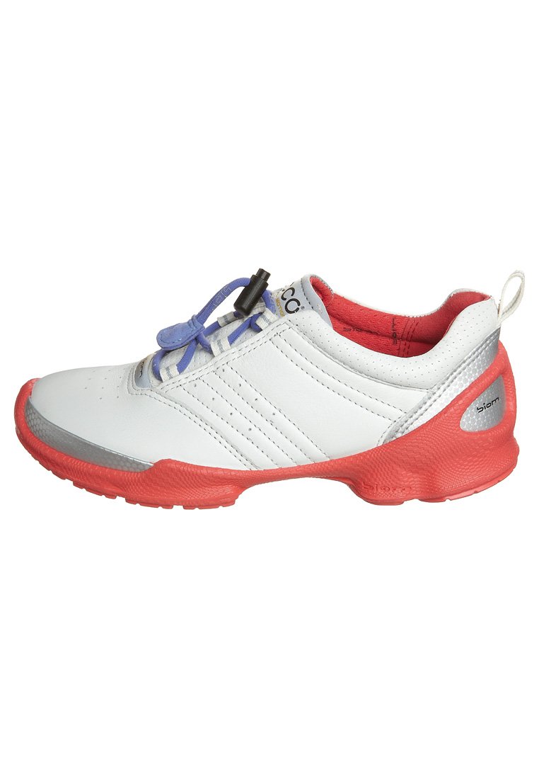 ecco biom train