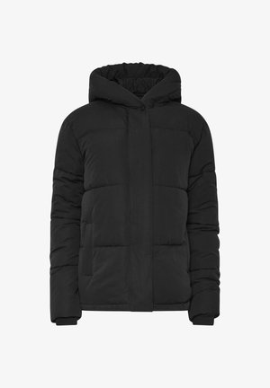Long Tall Sally, TALL PUFFER COATS - Manteau d'hiver - black