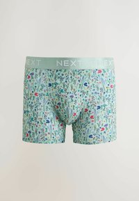 Boxer briefs vert clair avec un motif floral multicolore et une ceinture grise portant le nom de la marque "NEXT" en lettres blanches.