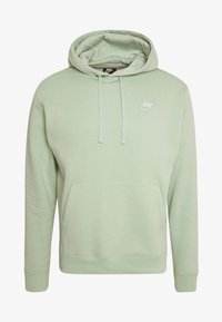 Não selecionado, pistachio frost