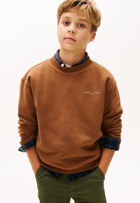 Felpa marrone con colletto a coste, con un piccolo logo. Sotto, una camicia a quadri blu e verde è visibile nei polsini. Pantaloni verdi.