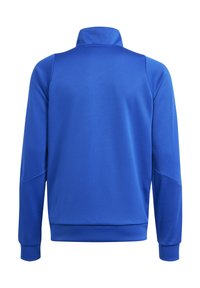Blå hettegenser med høy krage, lange ermer og ribbestrikkede mansjetter og nederkant. Glatt stoff med et rent bakdesign, uten synlige logoer eller mønstre.